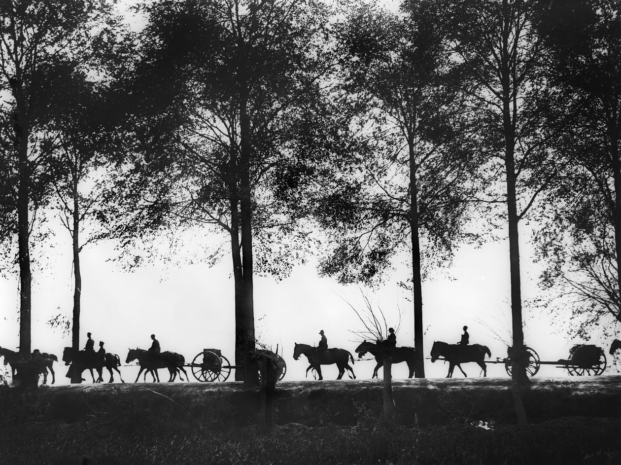 En visning, i silhuett, av australske artilleriplater lastet med ammunisjon som fortsetter langs Ypres Road, 25. september 1917 av Australian Photographer