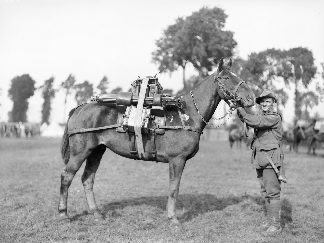 En australsk soldat, 244 sjåfør F W Stephenson, 2nd Australian Machine Gun Battalion, med en pakkehest lastet med et maskingevær ved Australian Pack Training School i Morbecque, 29. august 1917 av Australian Photographer