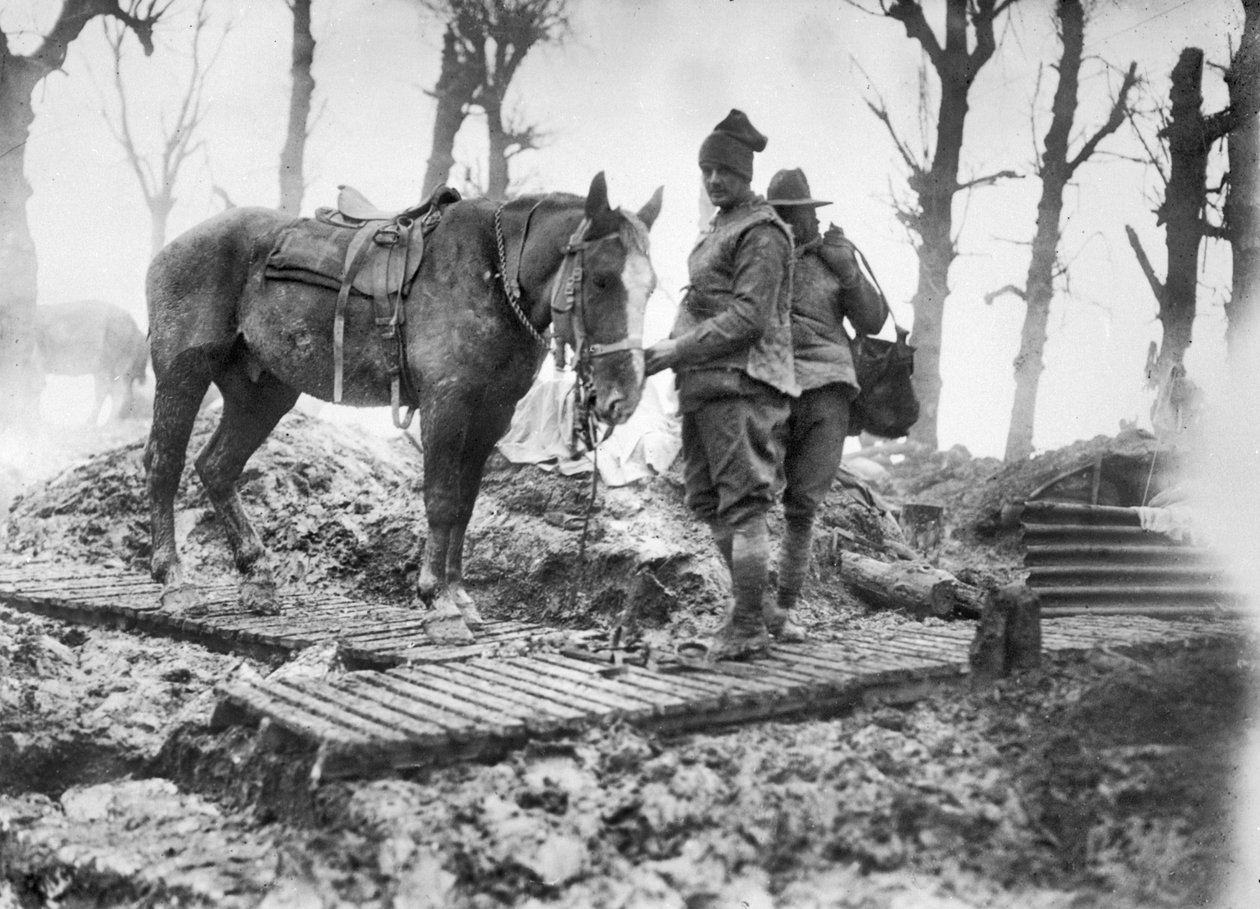 En artillerihest brukt til å transportere ammunisjon til våpnene og dens uidentifiserte australske sjåfør på en duckboard-bane mellom Mametz og Montauban, desember 1916 av Australian Photographer