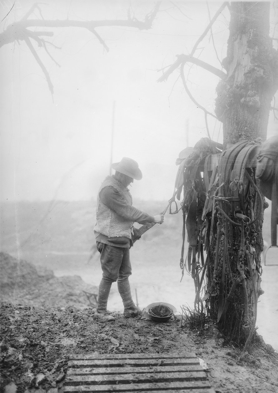En uidentifisert australsk artillerisjåfør renser gjørme fra teamets sele i en billett nær Mametz, desember 1916 av Australian Photographer