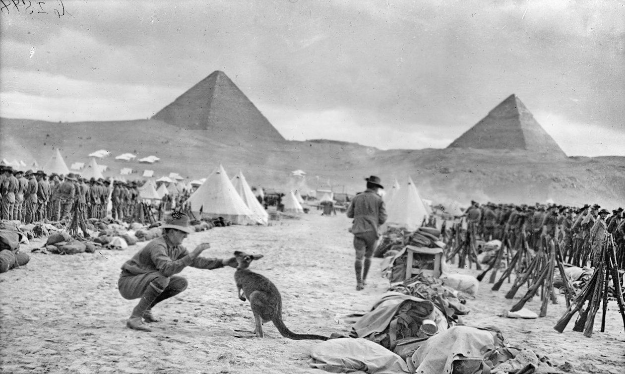 Linjer fra den australske 9. og 10. bataljon ved Mena Camp, med utsikt mot pyramidene, desember 1914 av Australian Photographer
