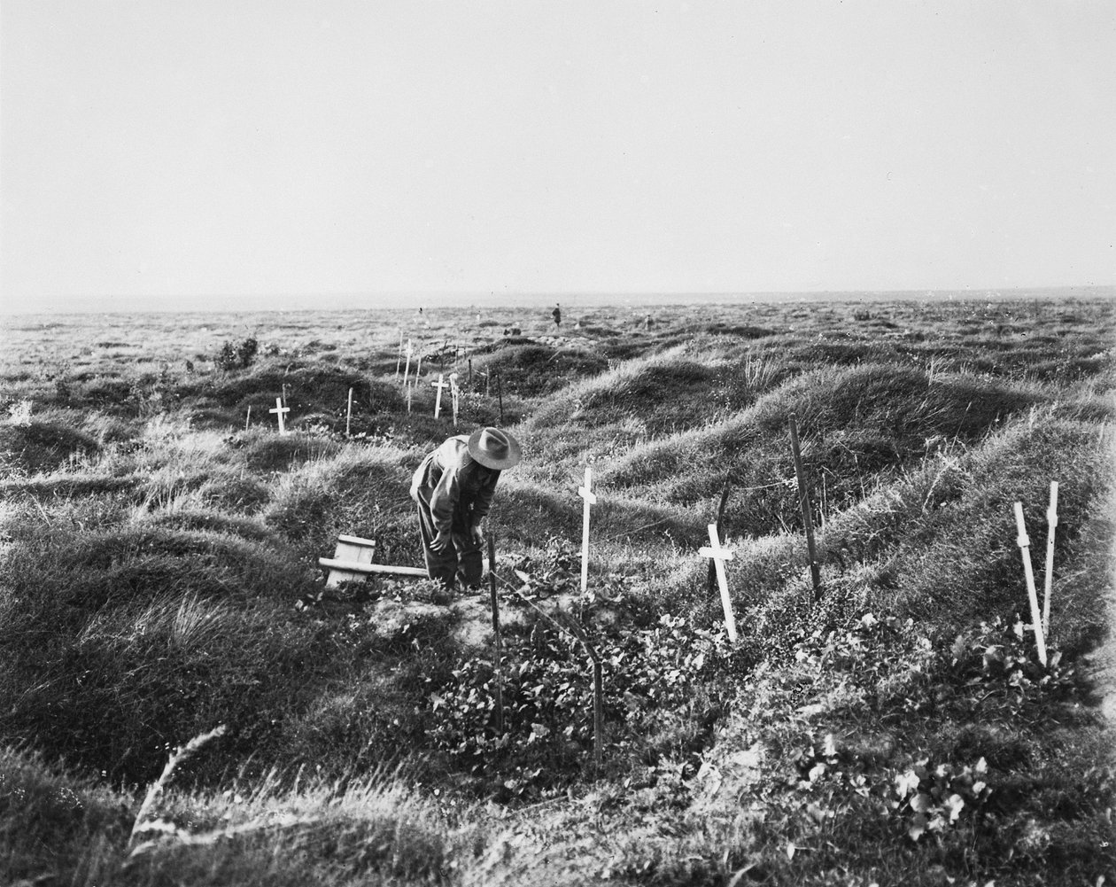 Utsikt over spredte australske graver langs OG1-linjen på slagmarken i Pozieres, 16. september 1917 av Australian Photographer