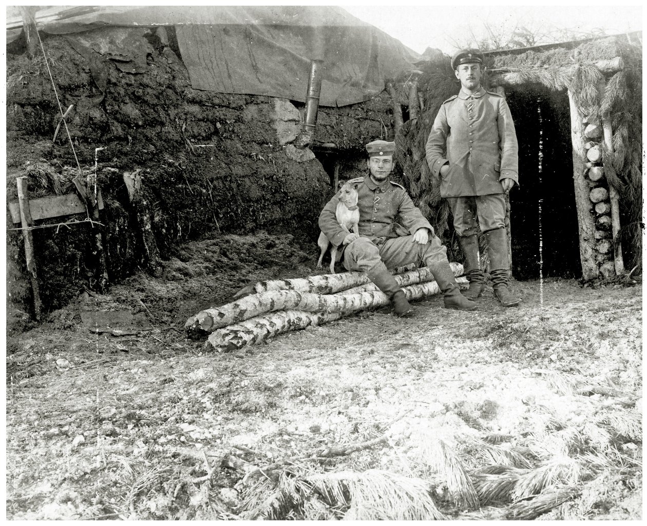 Østerrikske soldater med hund, 1914-18 av Austrian Photographer