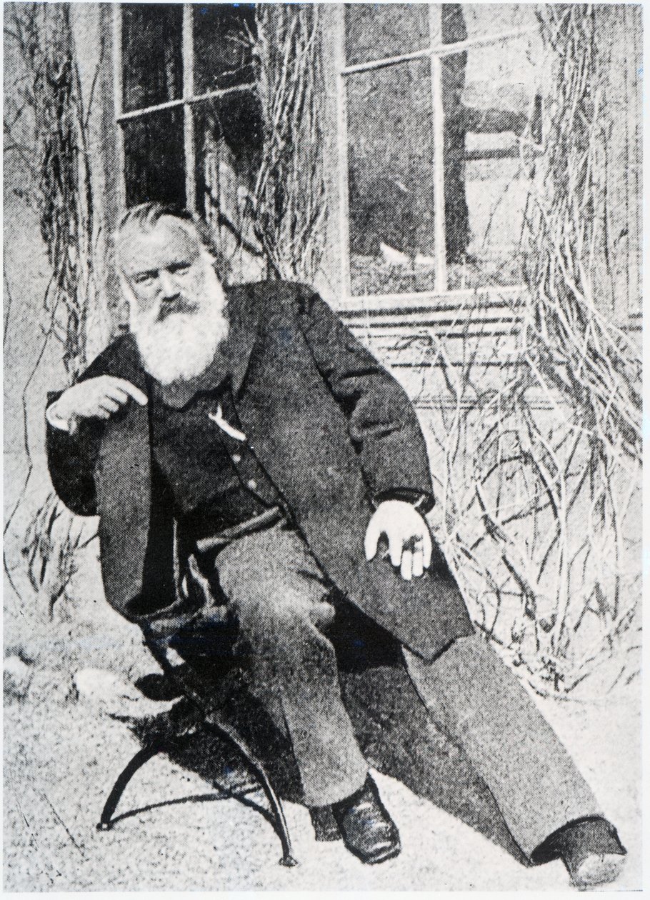 Johannes Brahms, ca. 1897 av Austrian Photographer