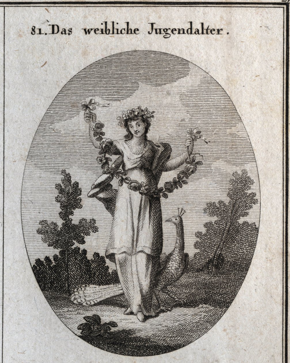 Allegory of adolescence (teenage girl) represented by a young woman with a crown and a garland of flowers to denote happy fellicite. The peacock understands the love of adornment. His foot is placed on a sand clock (hourglass). Engraving in “” Iconologie o av Austrian School