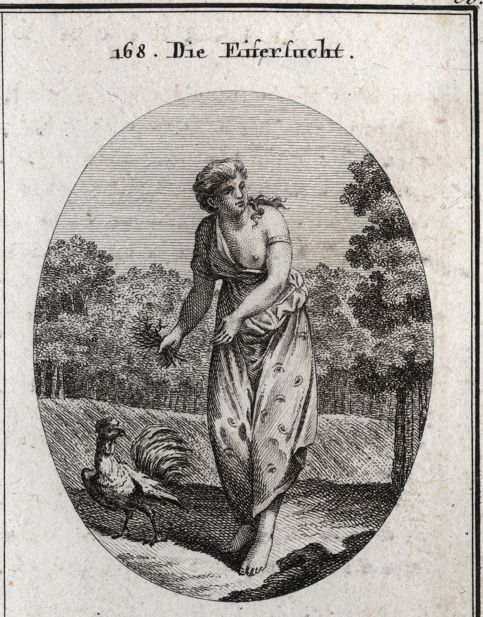 Allegory of jealousy stretching the ear on one side and watching what happens on the other. Her dress is dotted with eyes and ears and the bouquet of thorns she holds that her torment is voluntary. The rooster, jealous and vigilant, is his symbol. Engravin av Austrian School