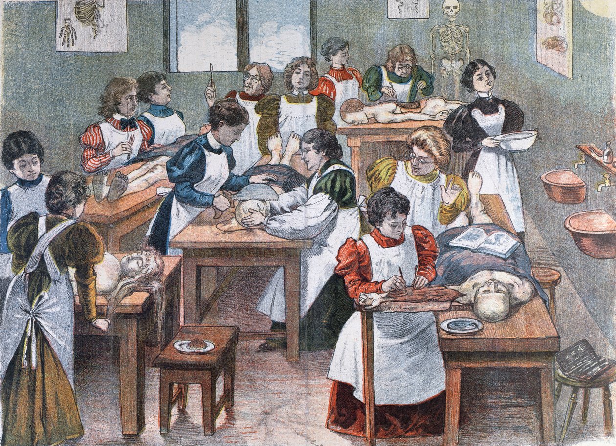 Kvinnelige studenter ved et Anatomy Institute i New York, 1897 av Austrian School