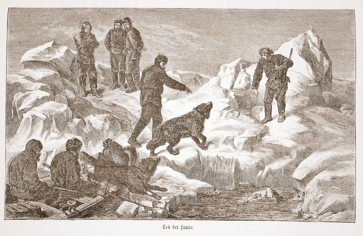 Jakt med hunder, 1876 av Austrian School