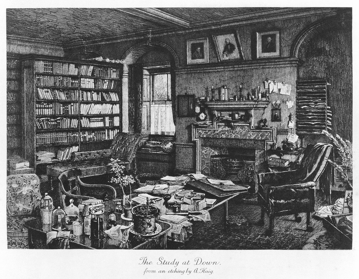 The Study at Down, pub. 1882 (gravering) av Axel (after) Haig