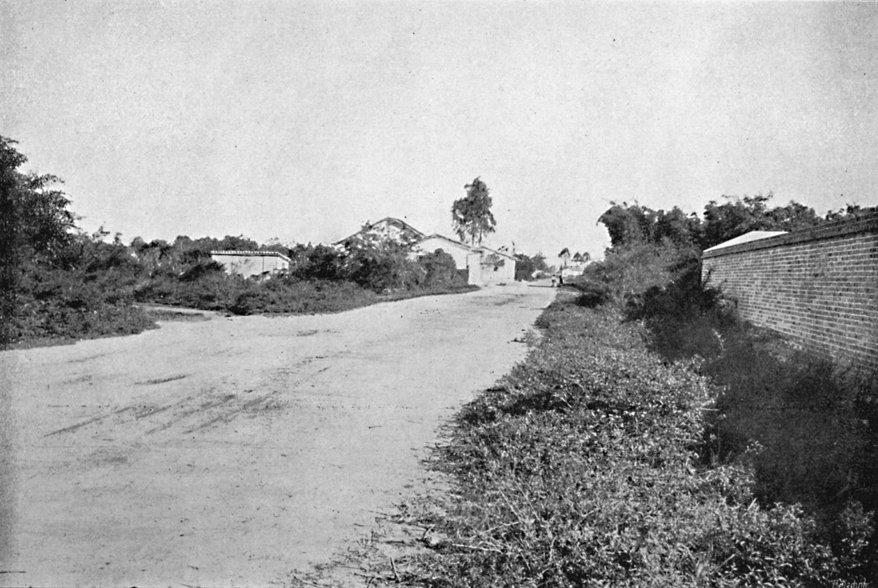 Colony of São Bernardo, Colony of São Bernardo do Campo, 1895 av Axel Frick