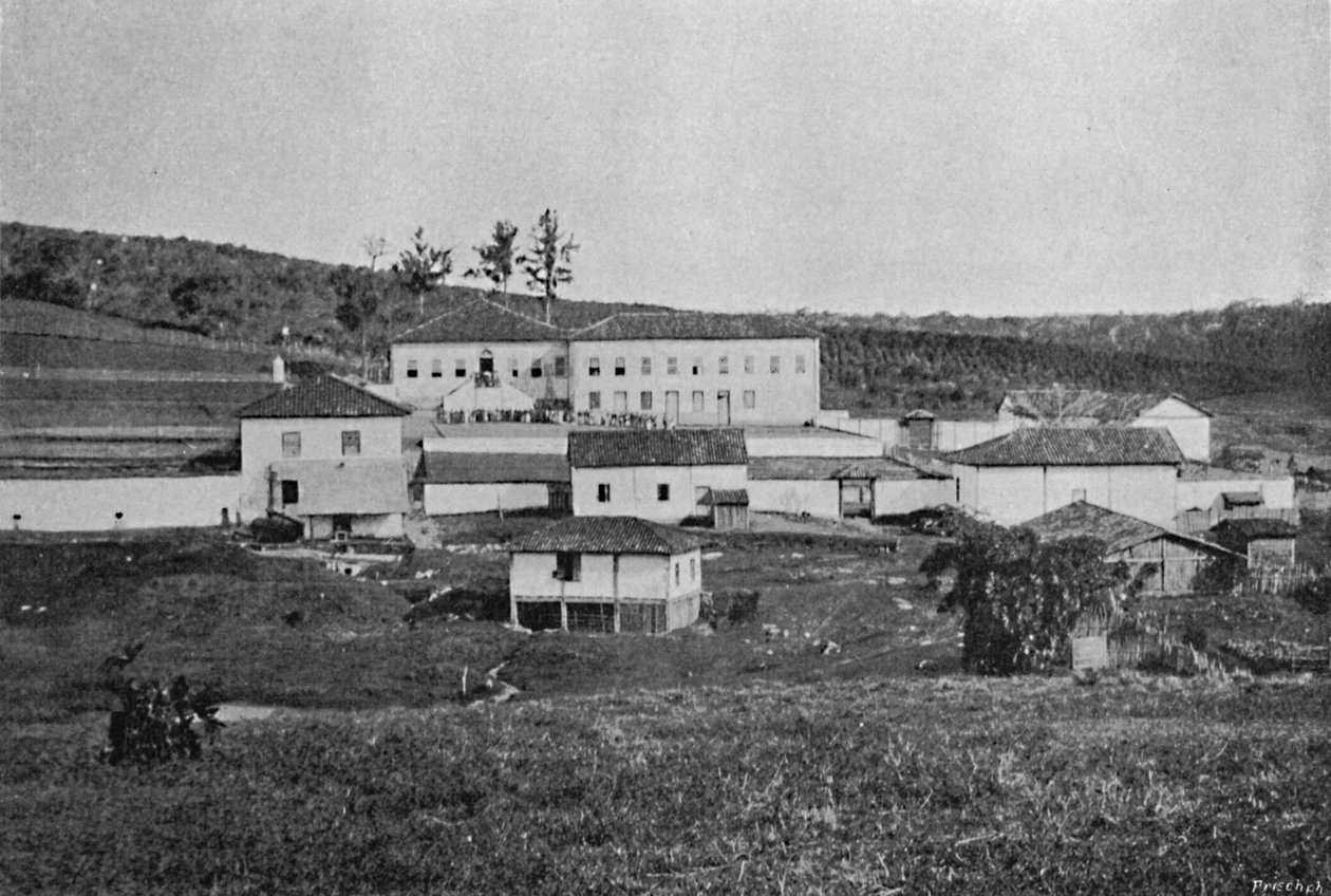 Sete Quedas Farm Campinas, Sete Quedas Farm, 1895 av Axel Frick