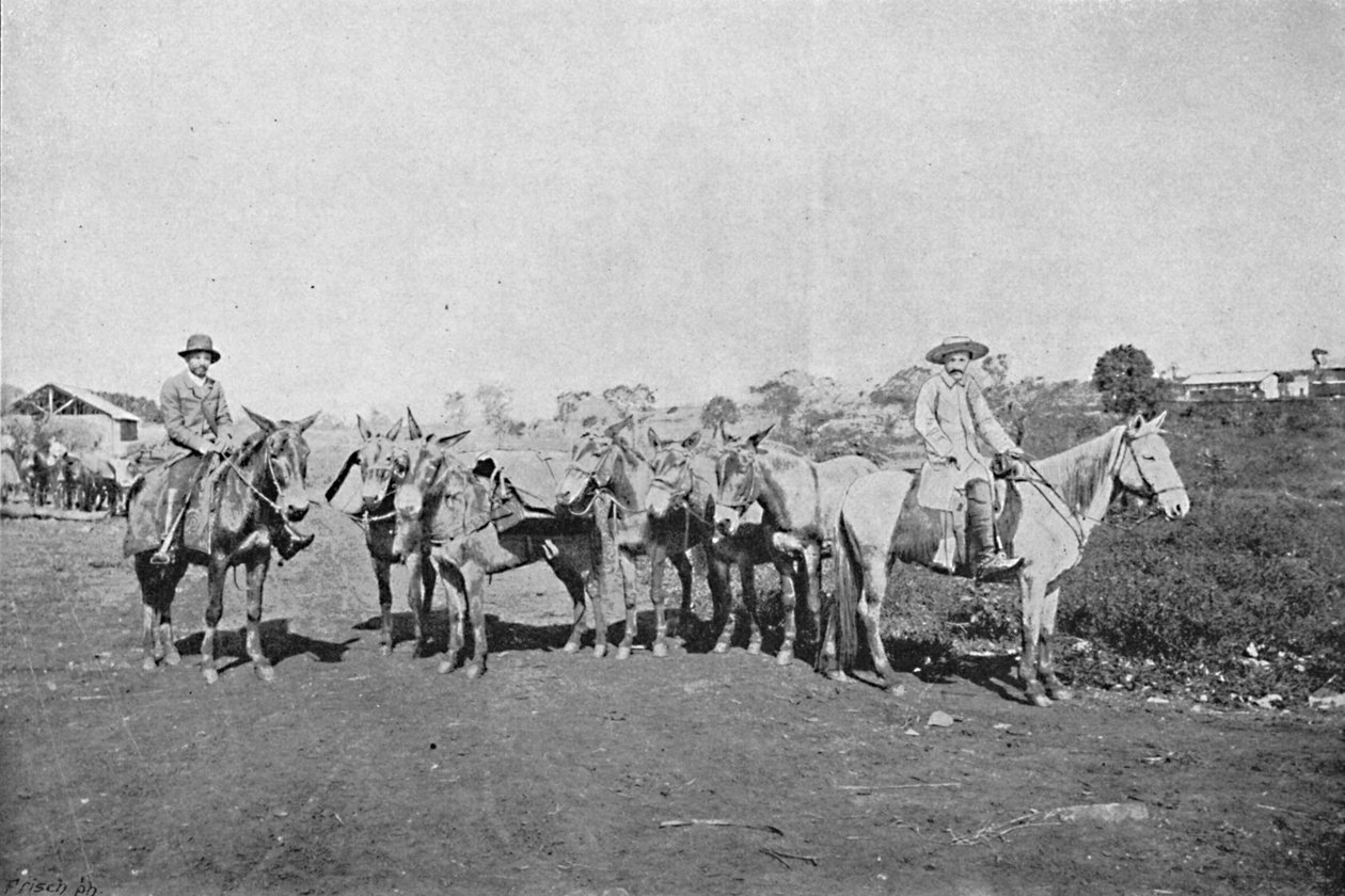 Negociantes do Interior, Traders of the Interior, 1895 av Axel Frick