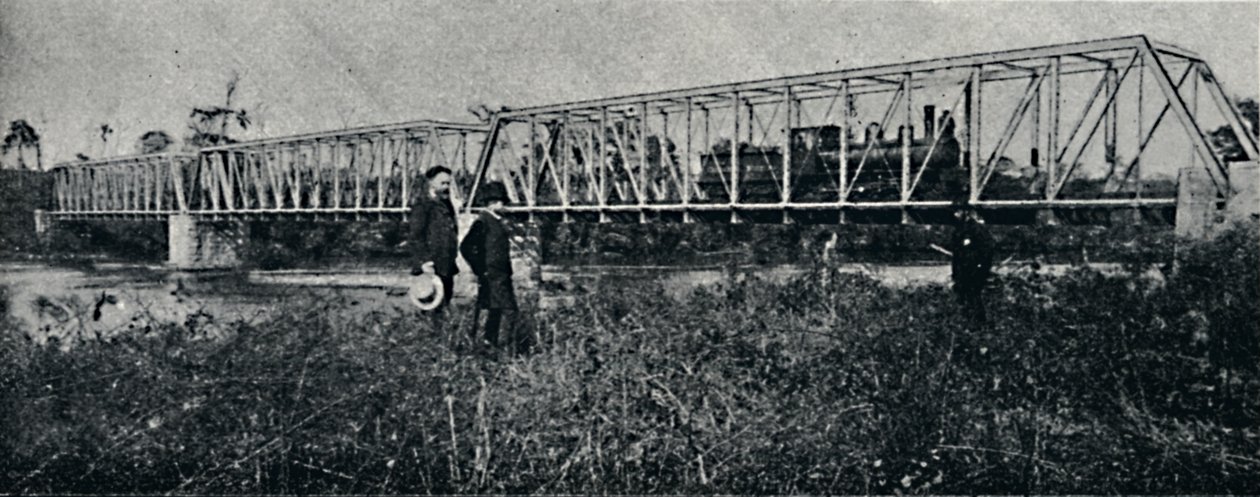 E. F. Mogyana-broen over Pardo-elven, 1895 av Axel Frick