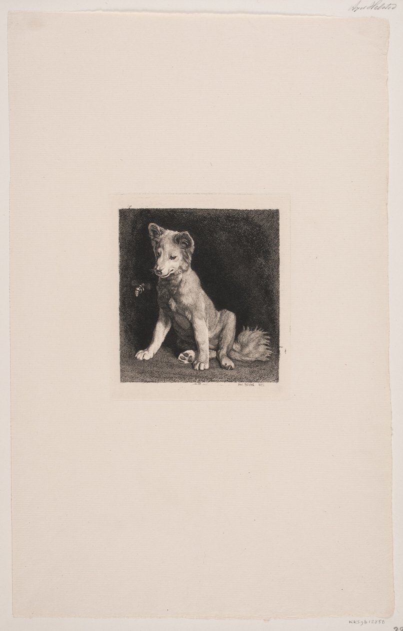 Hunden og bien av Axel Helsted