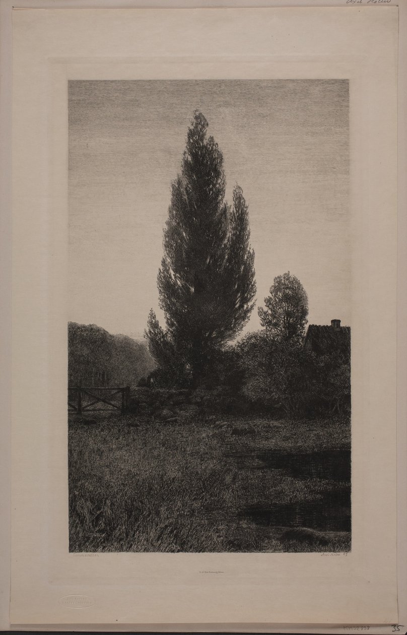 Sommernatt av Axel Holm