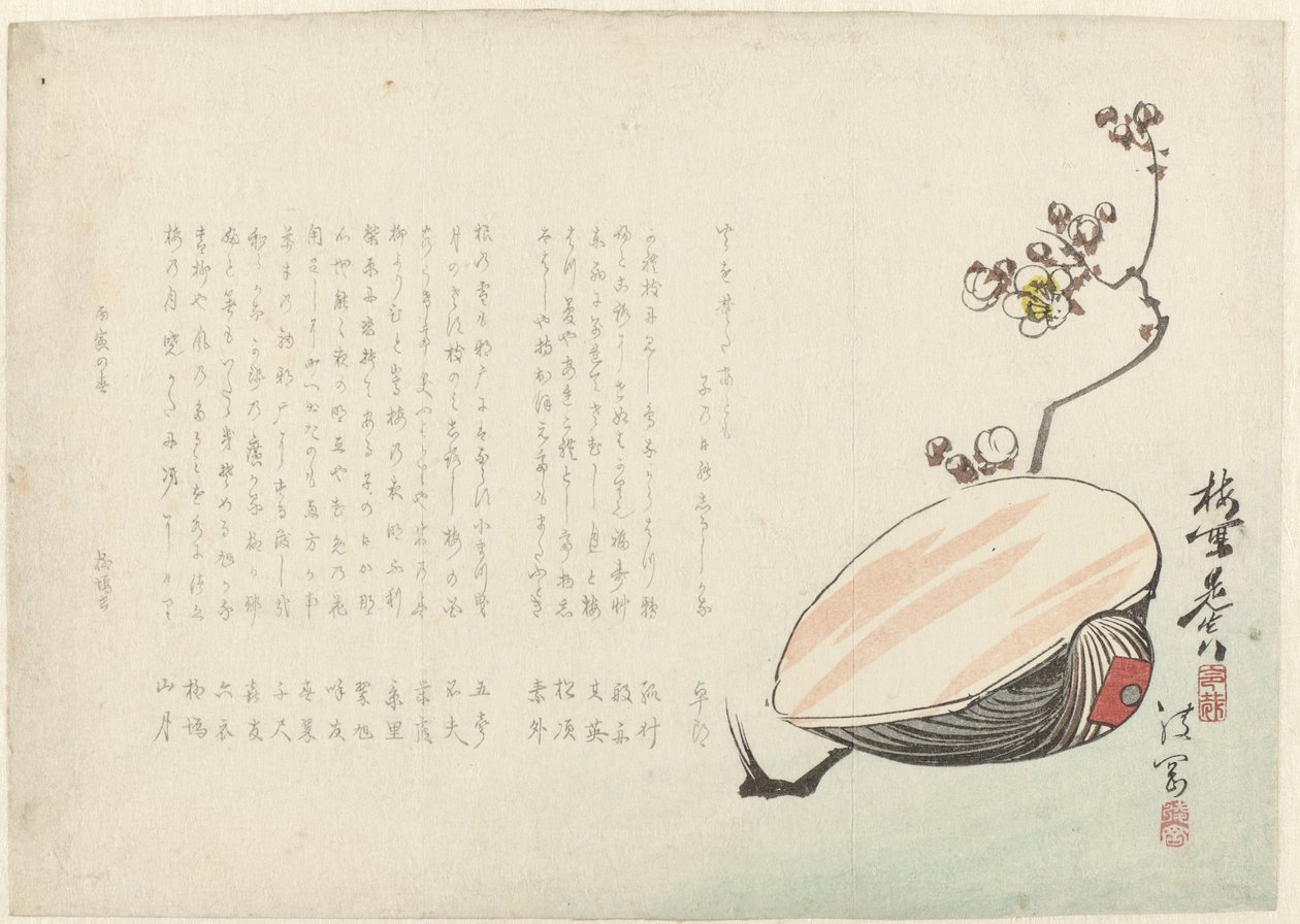 Shell av Ayaoka Yûshin