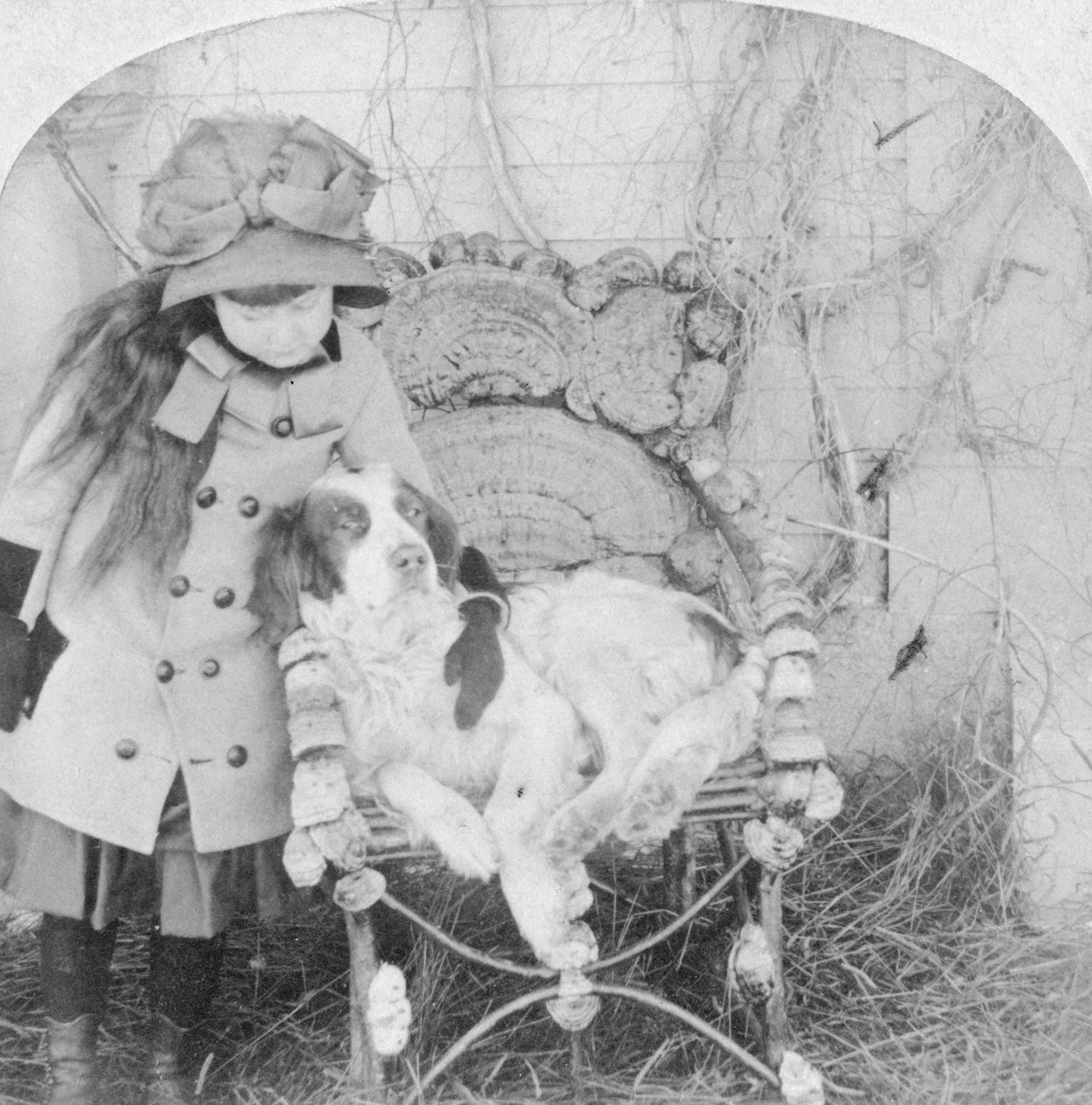 Kan du snakke, Jack, 1882 av B. W. Kilburn