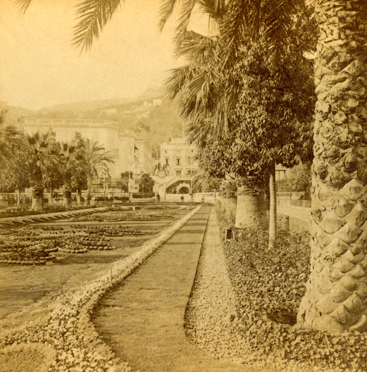 Monte Carlo, ser fra kasinoet, 1897. av B. W. Kilburn