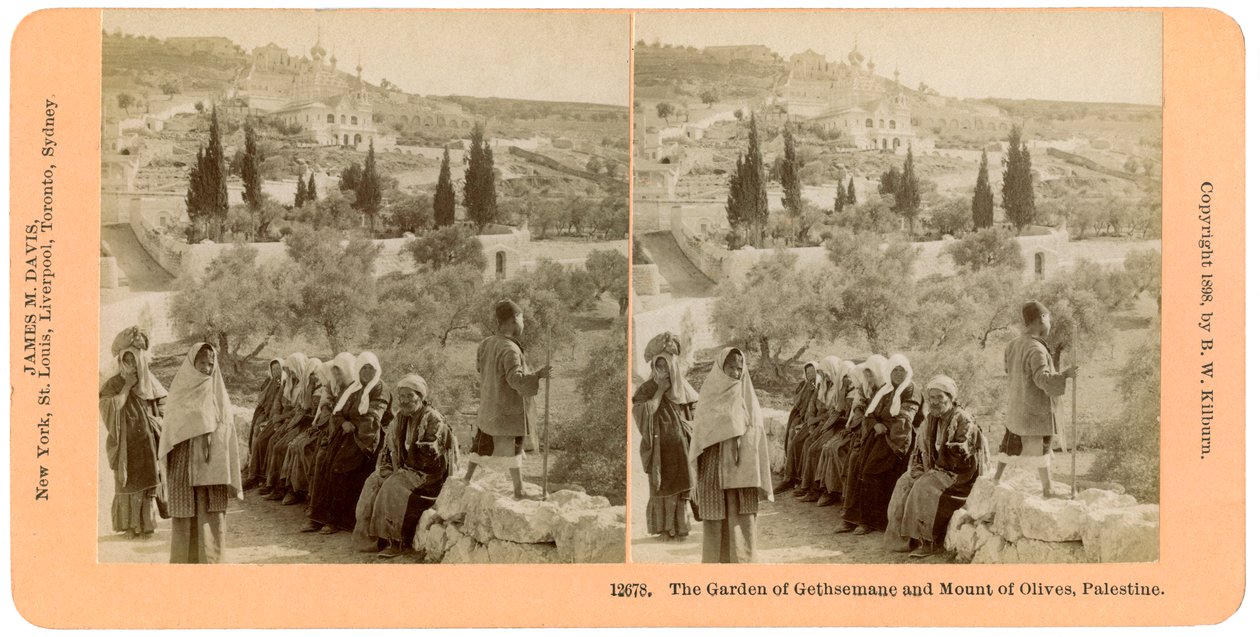 Getsemane-hagen og Oljeberget, Palestina, 1898. av B. W. Kilburn