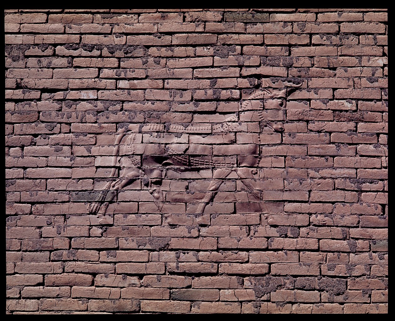 Detalj av en okse, relieff av Ishtar-porten, 580 f.Kr av Babylonian