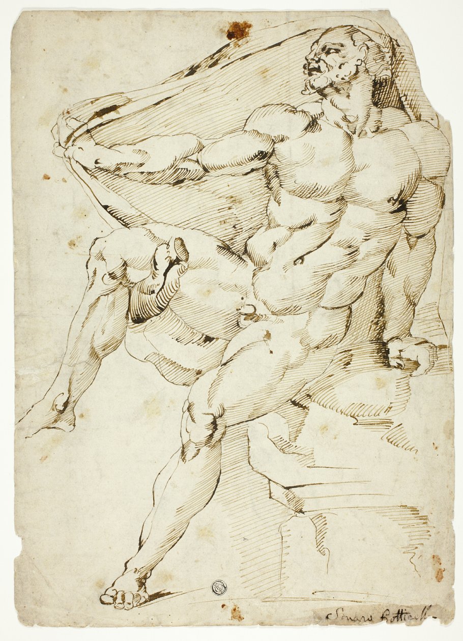  av Baccio Bandinelli