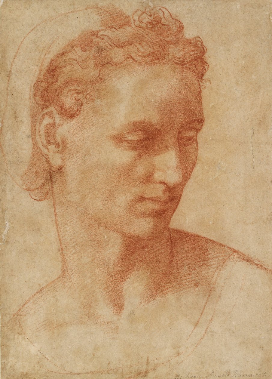 Head of a Woman, tidlig på 1500-tallet av Baccio Bandinelli