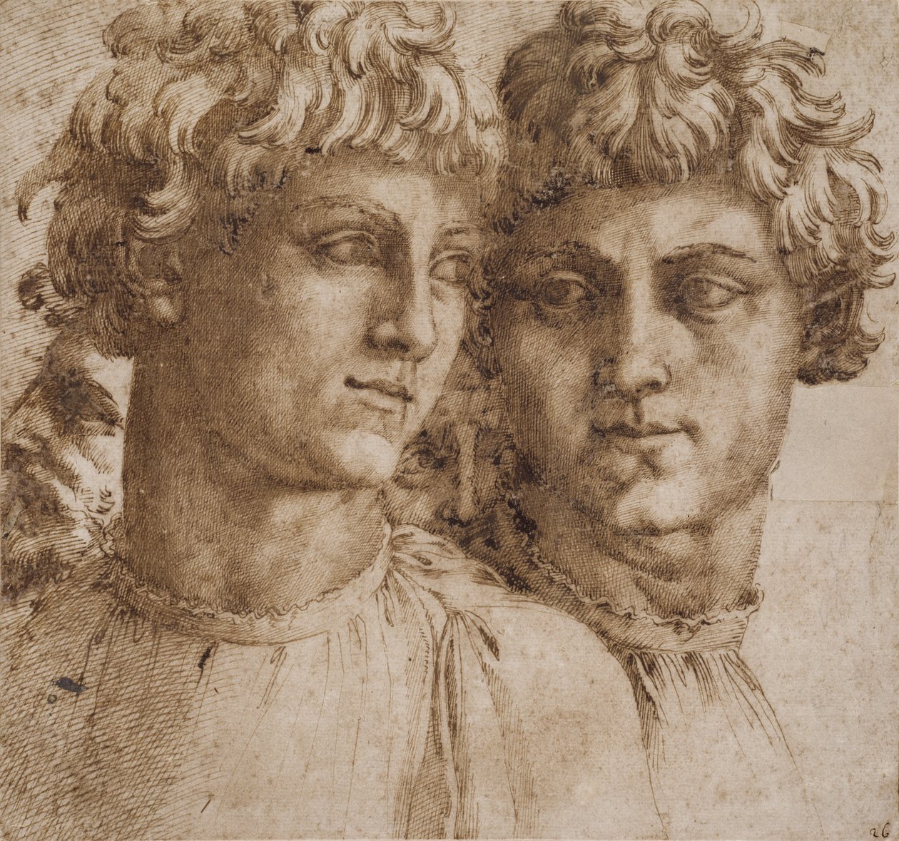 To studier av hodet til en ungdom, ca. 1550 av Baccio Bandinelli