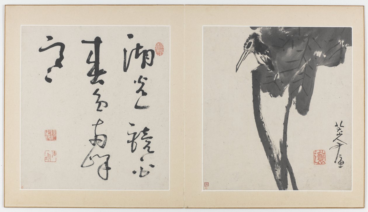 Sider fra et album med blomster, fugler, insekter og fisk, Qing-dynastiet, 1688-89 (blekk på papir) av Bada Shanren