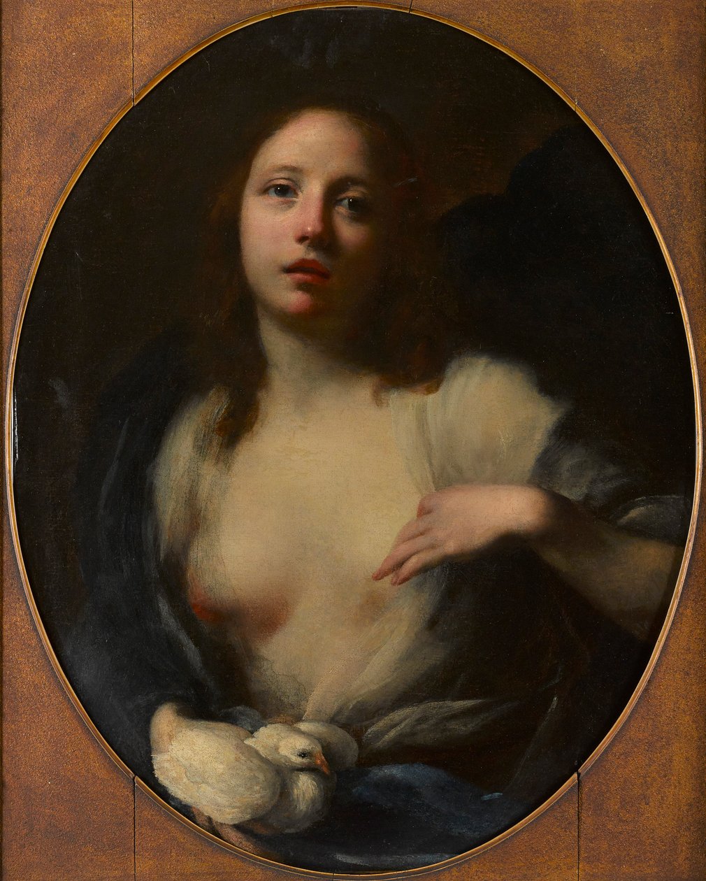 Maleri av en ung jente med hvit due (olje på lerret) av Baldassare (1611 89) Franceschini