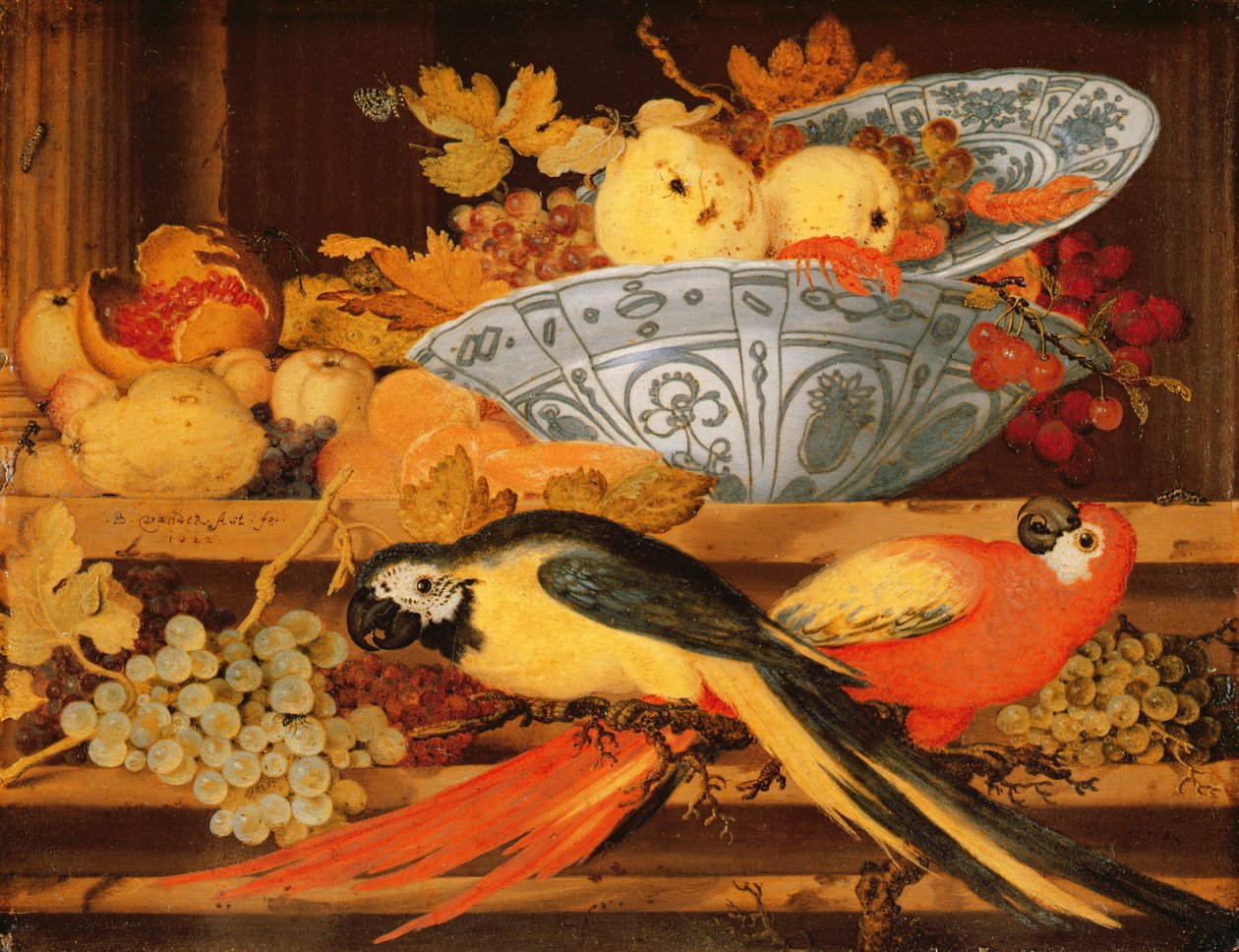 Stilleben med frukt og ara, 1622 (olje på kobber) av Balthasar van der Ast