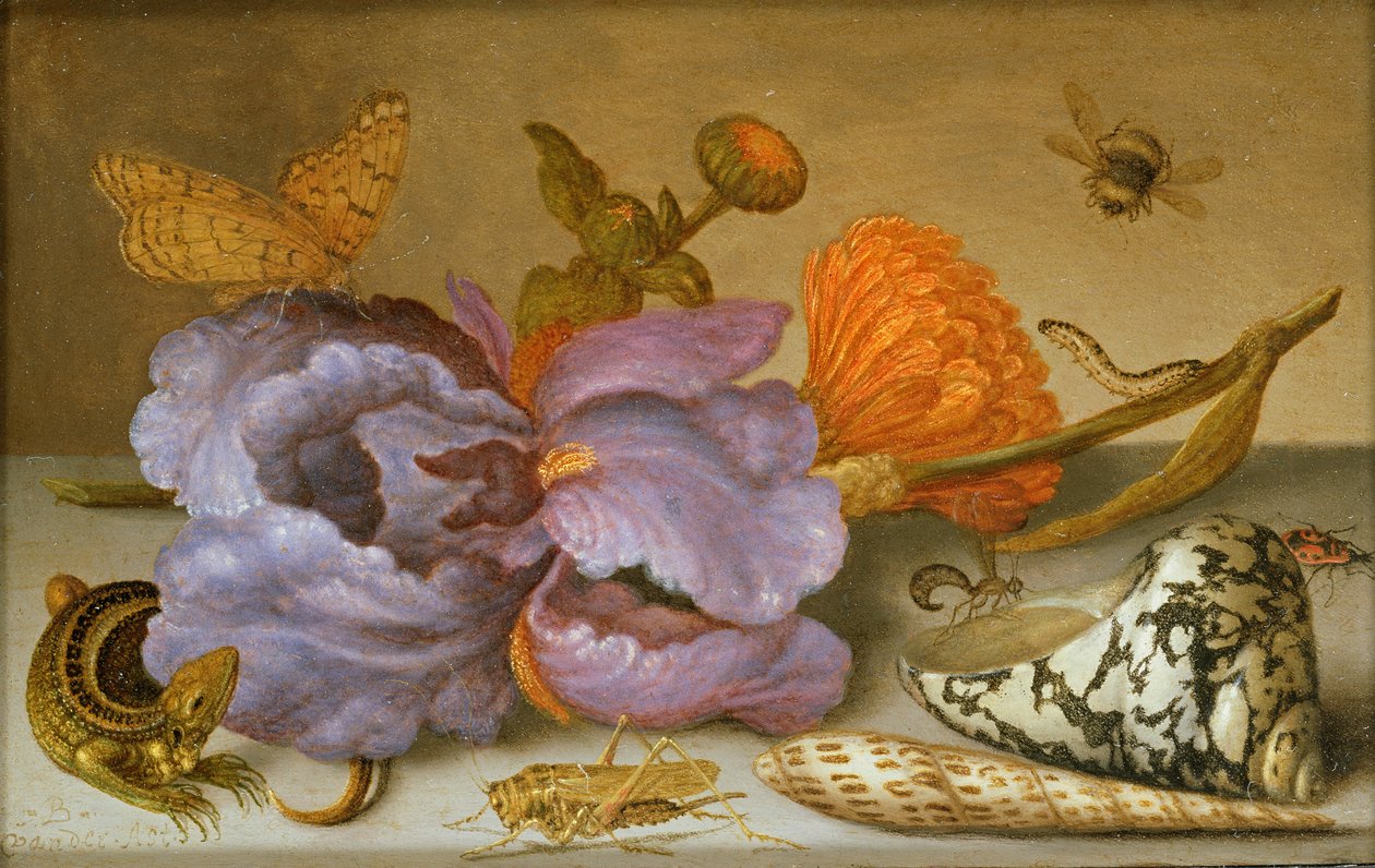 Stilleben som viser blomster, skjell og insekter (olje på kobber) (for par se 251378) av Balthasar van der Ast