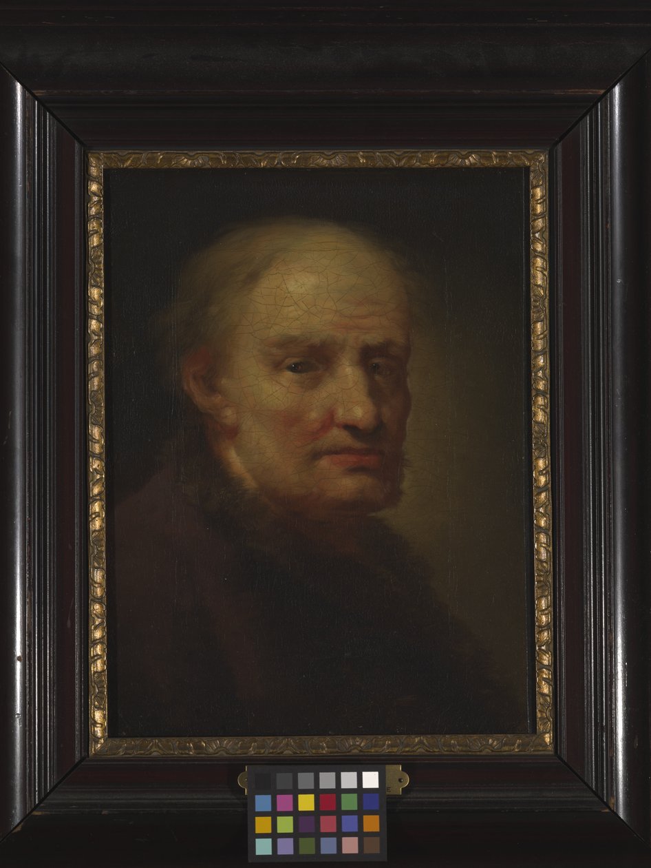 Hodet til en gammel mann (olje på tre) av Balthasar Denner