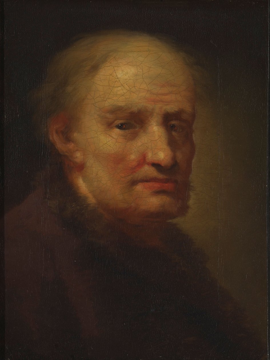 Hode av en gammel mann av Balthasar Denner