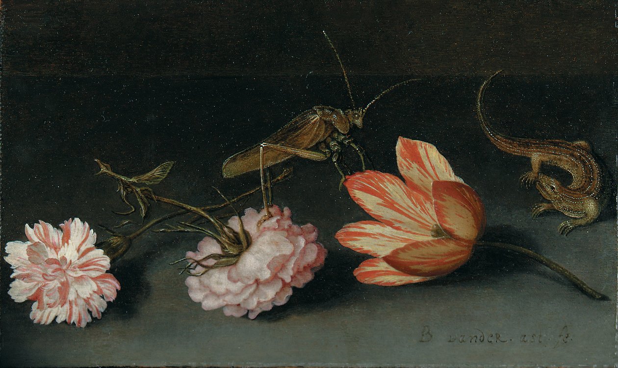 Nelliker, en papegøyetulipan, en gresshoppe og en øgle på en avsats av Balthasar van der Ast