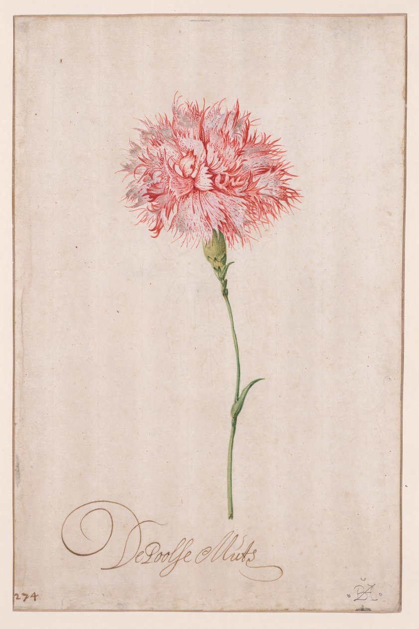 Den polske hatten av Balthasar van der Ast