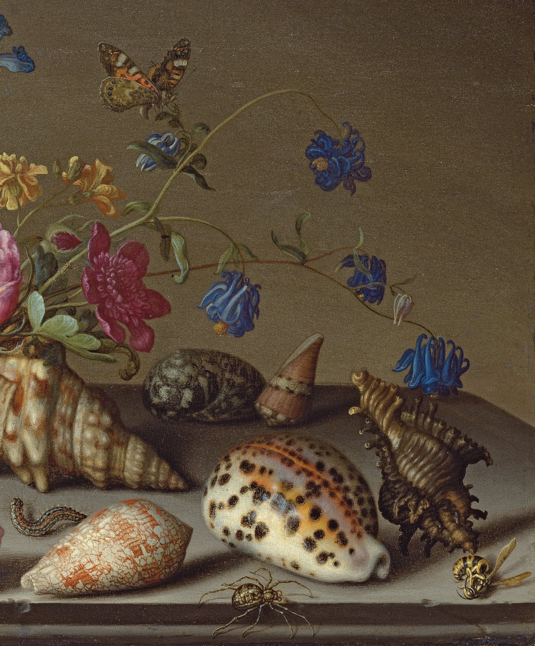 Blomster, skjell og insekter på en steinhylle av Balthasar van der Ast