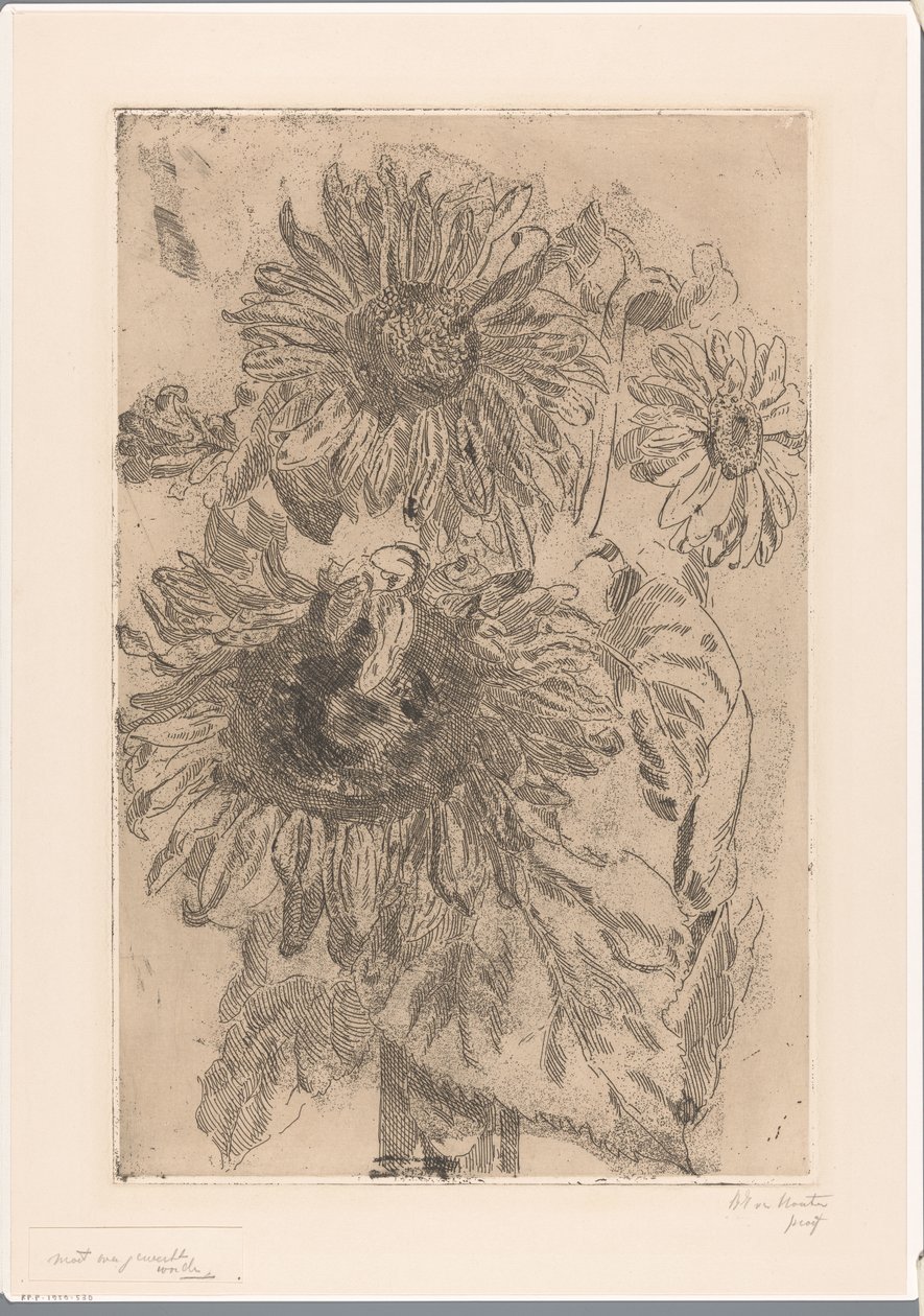 Tre solsikker i en vase av Barbara Elisabeth van Houten (signed by artist)