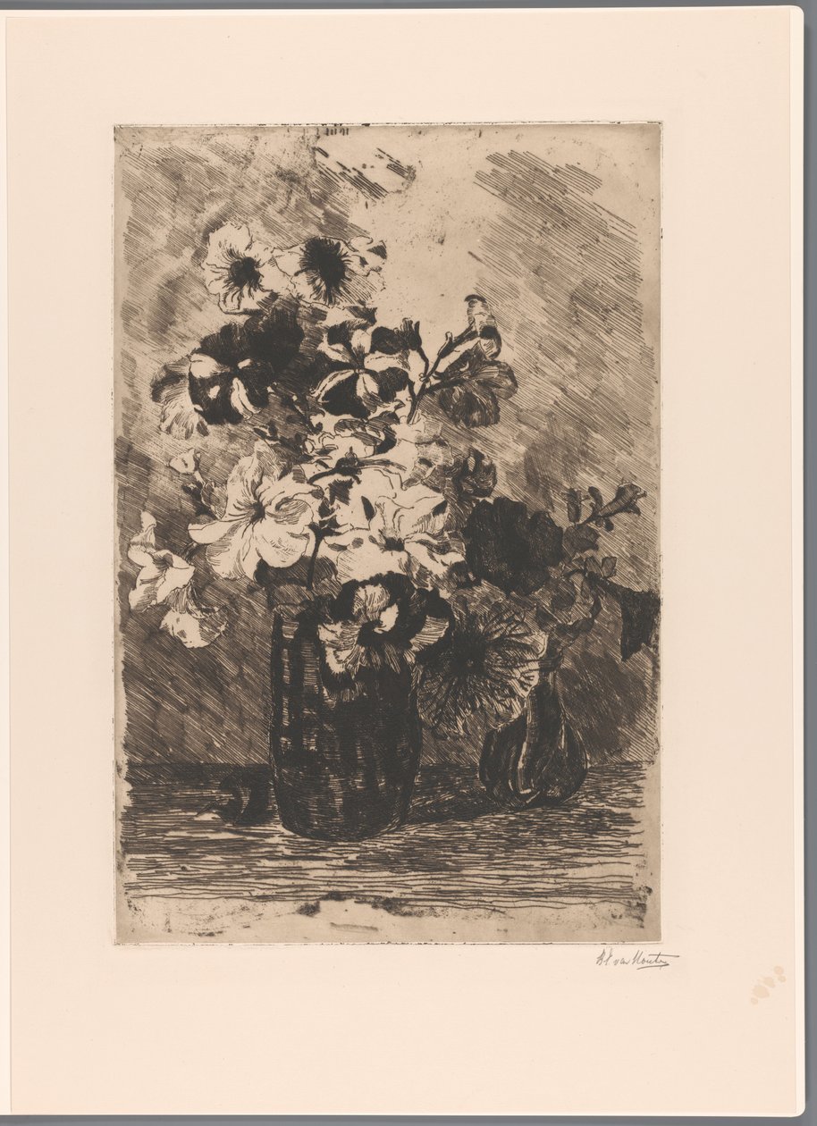 Petunia i to vaser av Barbara Elisabeth van Houten (signed by artist)