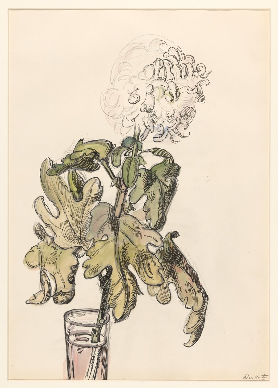 Blomstrende krysantemum, i en vase av Barbara Elisabeth van Houten