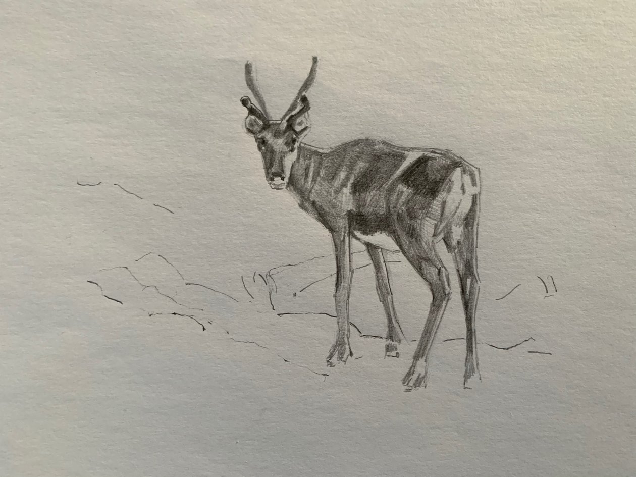Reinsdyr, 2019 av Barbara Hoogeweegen