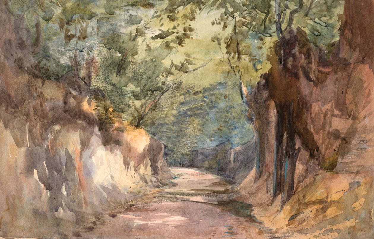 Inngang til Scalands Gate (akvarell og grafitt på vevd papir) av Barbara Leigh Smith Bodichon