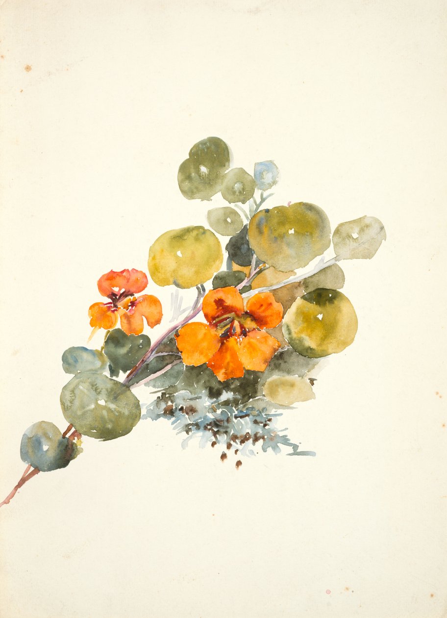 Nasturtiums (akvarell på vevd papir) av Barbara Leigh Smith Bodichon