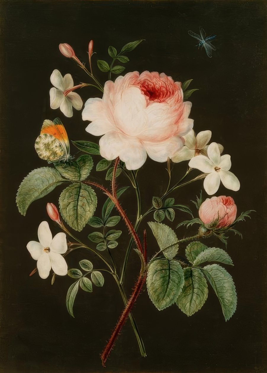 Arrangement av rose og sjasmin av Barbara Regina Dietzsch