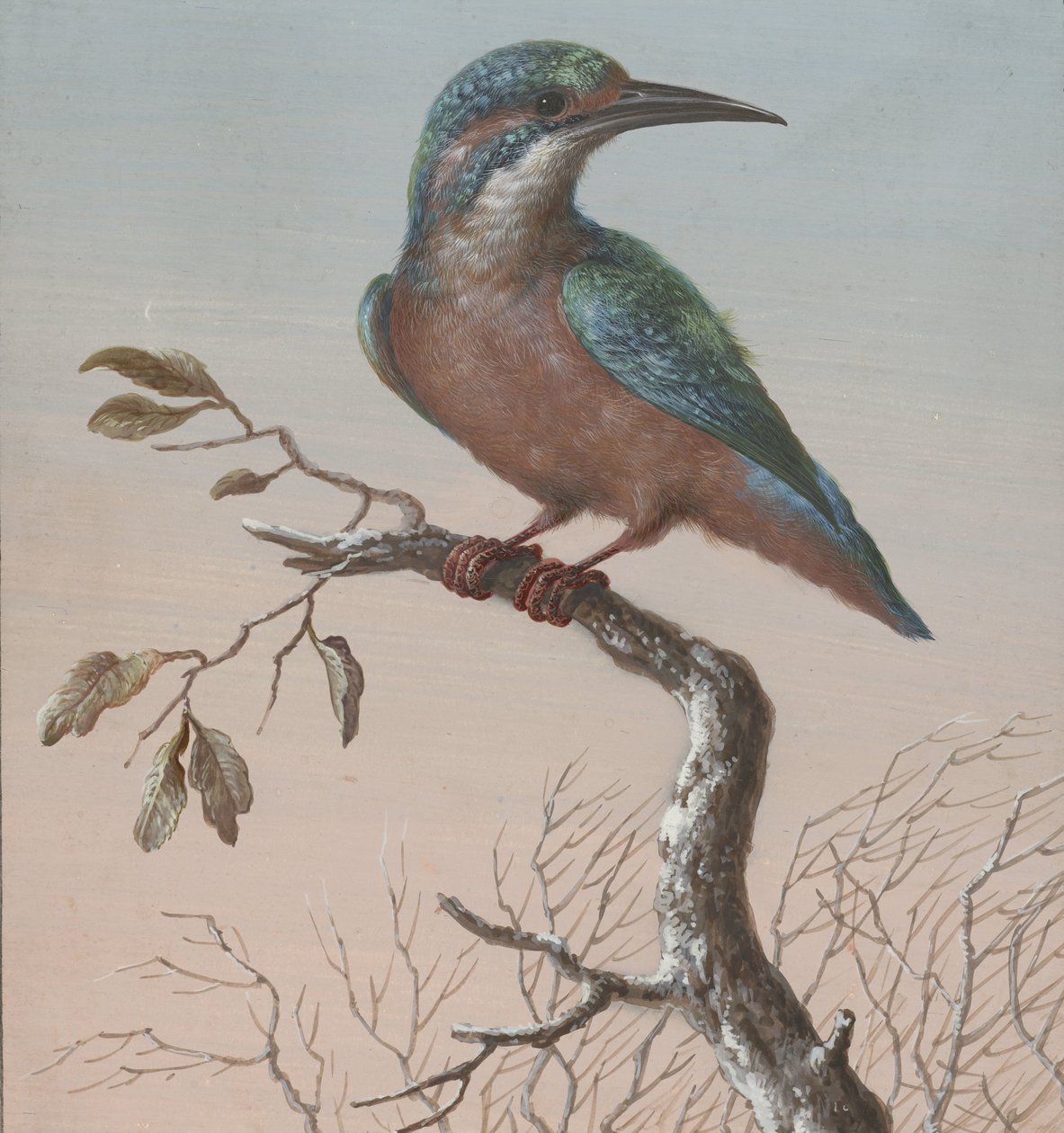 Kingfisher Fire gouacher av fugler (serietittel) av Barbara Regina Dietzsch