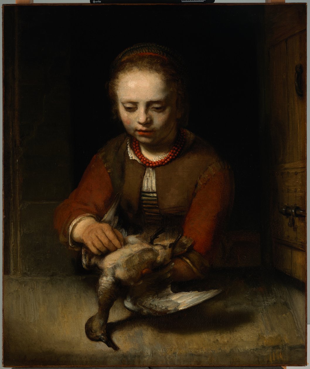Ung jente som plukker en and av Barent Fabritius
