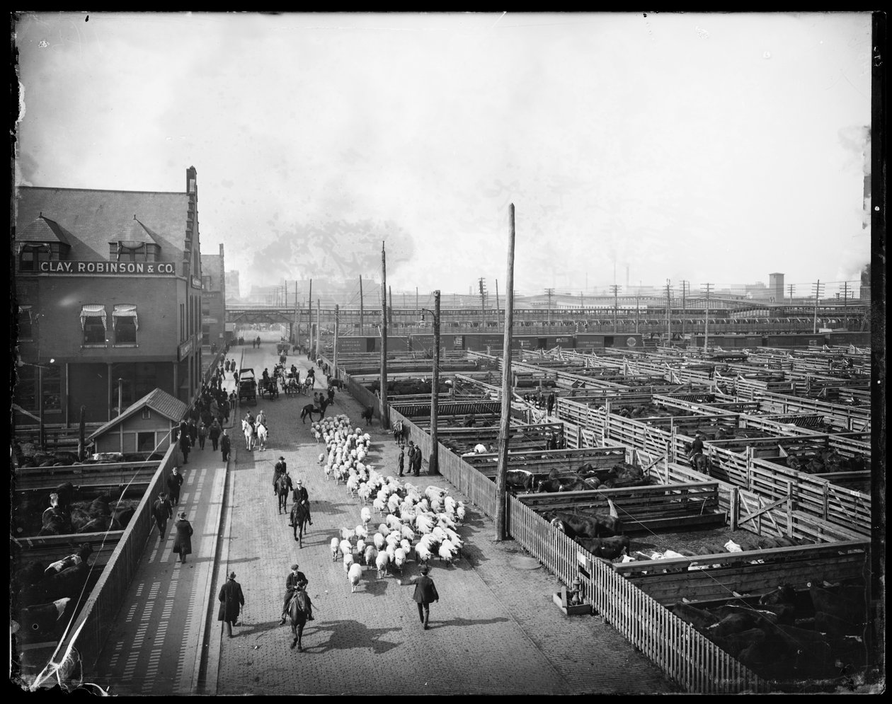 Union Stock Yards., Chicago, Illinois, USA, ca. 1910 (s/hvitt-bilde) av Barnes and Crosby