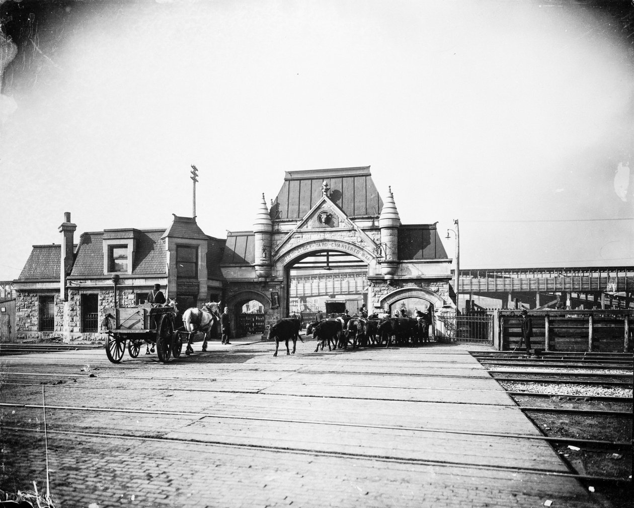 Union Stock Yards gate på Exchange Avenue, Chicago, Illinois, USA, ca. 1905 (s/hvitt-bilde) av Barnes and Crosby