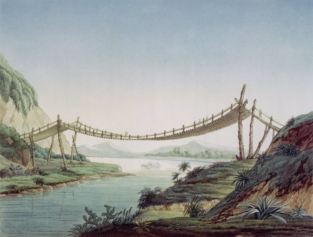 Taubro nær Penipe, krysser Chambo-elven, Mexico, 1810 av Baron Friedrich Alexander von Humboldt