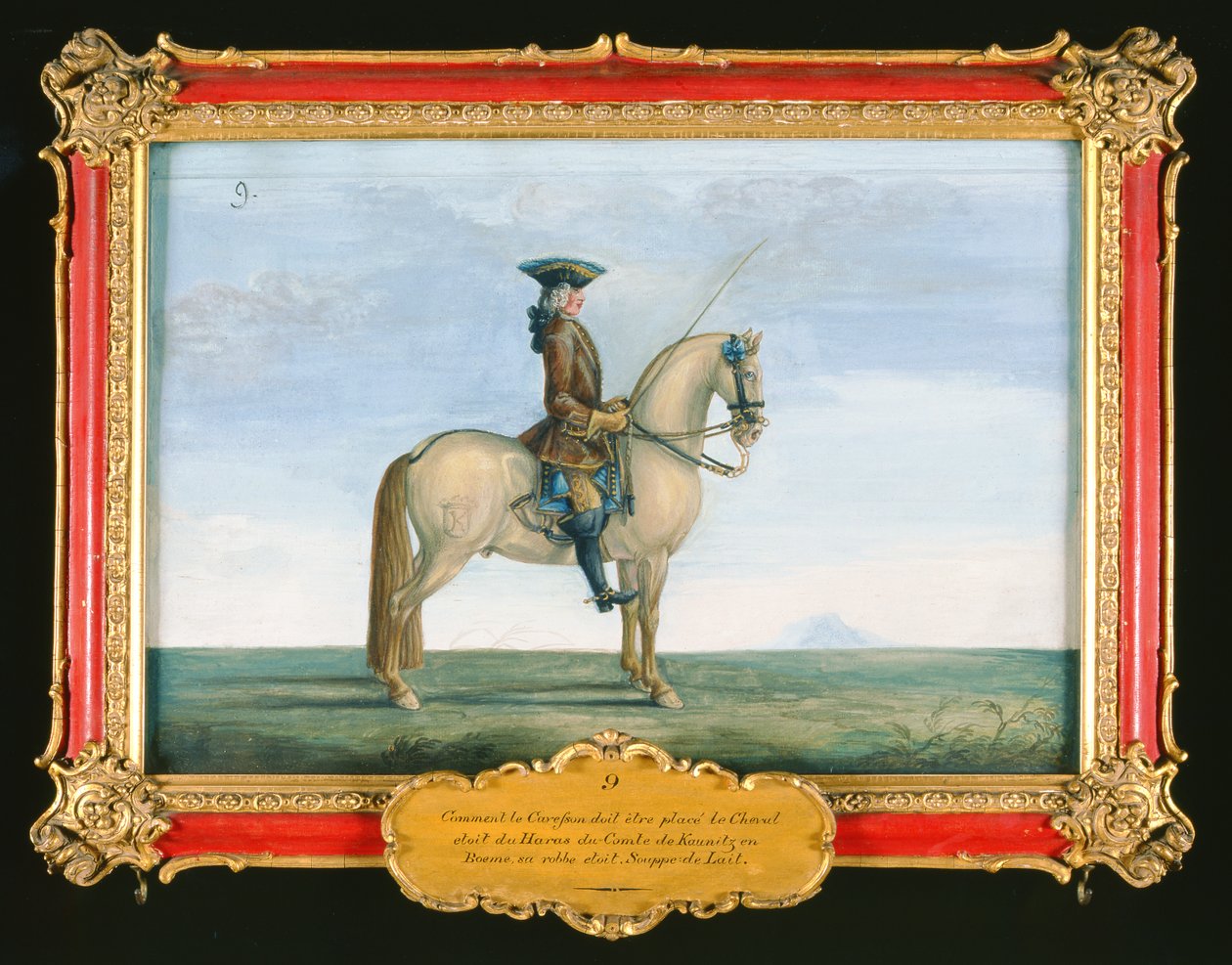 Nr. 9 En grå hest fra den spanske rideskolen, fra studen til greven av Kaunitz i Böhmen (wc på papir) av Baron Reis Eisenberg