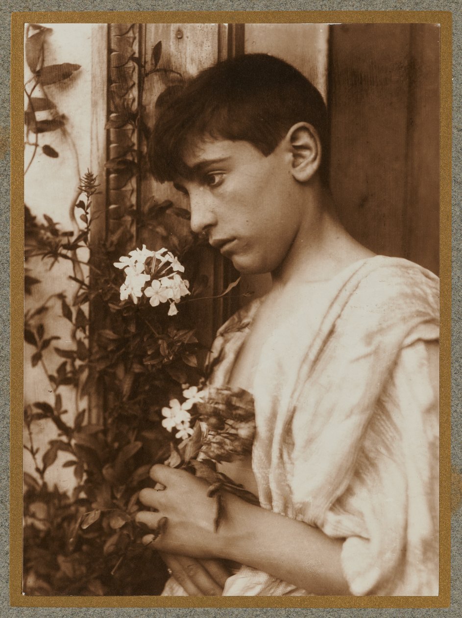 Siciliansk gutt av Baron Wilhelm von Gloeden